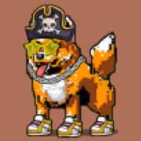 DogePunks #4984