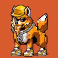 DogePunks #3676