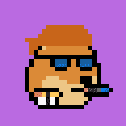 Dogepunk #1293