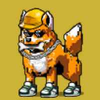 DogePunks #4638
