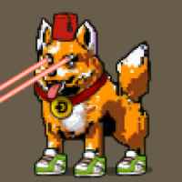 DogePunks #849