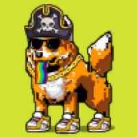 DogePunks #2904