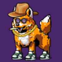 DogePunks #840