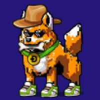 DogePunks #1054