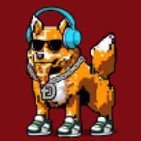 DogePunks #494