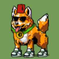 DogePunks #2851