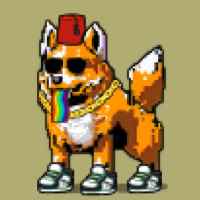 DogePunks #2071
