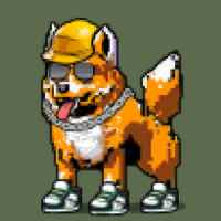 DogePunks #1153