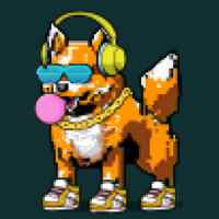 DogePunks #2234