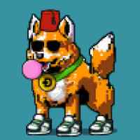 DogePunks #2384