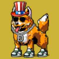 DogePunks #658