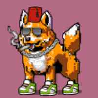 DogePunks #3844