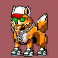 DogePunks #4138