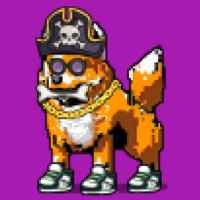 DogePunks #481