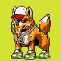 DogePunks #4447