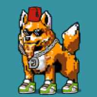 DogePunks #4942