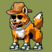DogePunks #1350