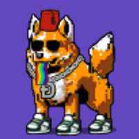 DogePunks #3814