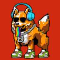 DogePunks #4351
