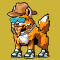 DogePunks #307