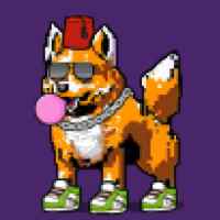 DogePunks #379