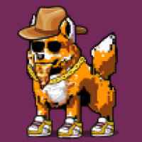 DogePunks #273