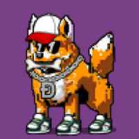 DogePunks #942