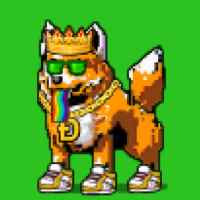 DogePunks #2482