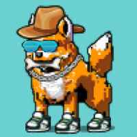 DogePunks #1596