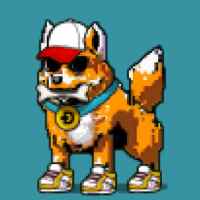 DogePunks #1216