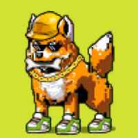 DogePunks #1221
