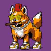 DogePunks #160