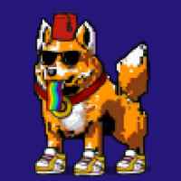 DogePunks #243