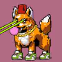 DogePunks #4116