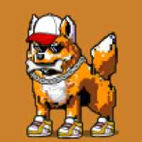 DogePunks #4456