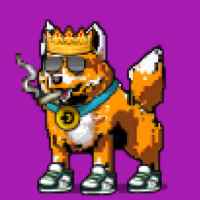 DogePunks #4266