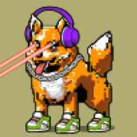DogePunks #593