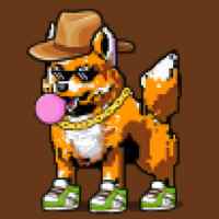 DogePunks #826