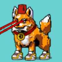 DogePunks #582