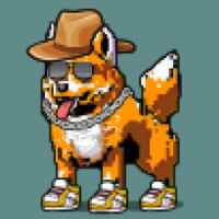 DogePunks #3924
