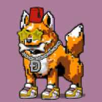 DogePunks #4343