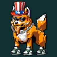 DogePunks #2589