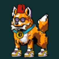 DogePunks #630