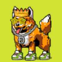 DogePunks #629