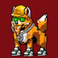 DogePunks #1006