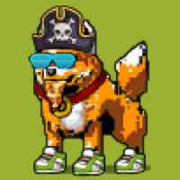 DogePunks #3813