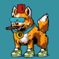DogePunks #3727