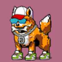 DogePunks #132