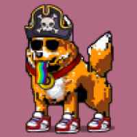 DogePunks #888