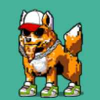 DogePunks #4038